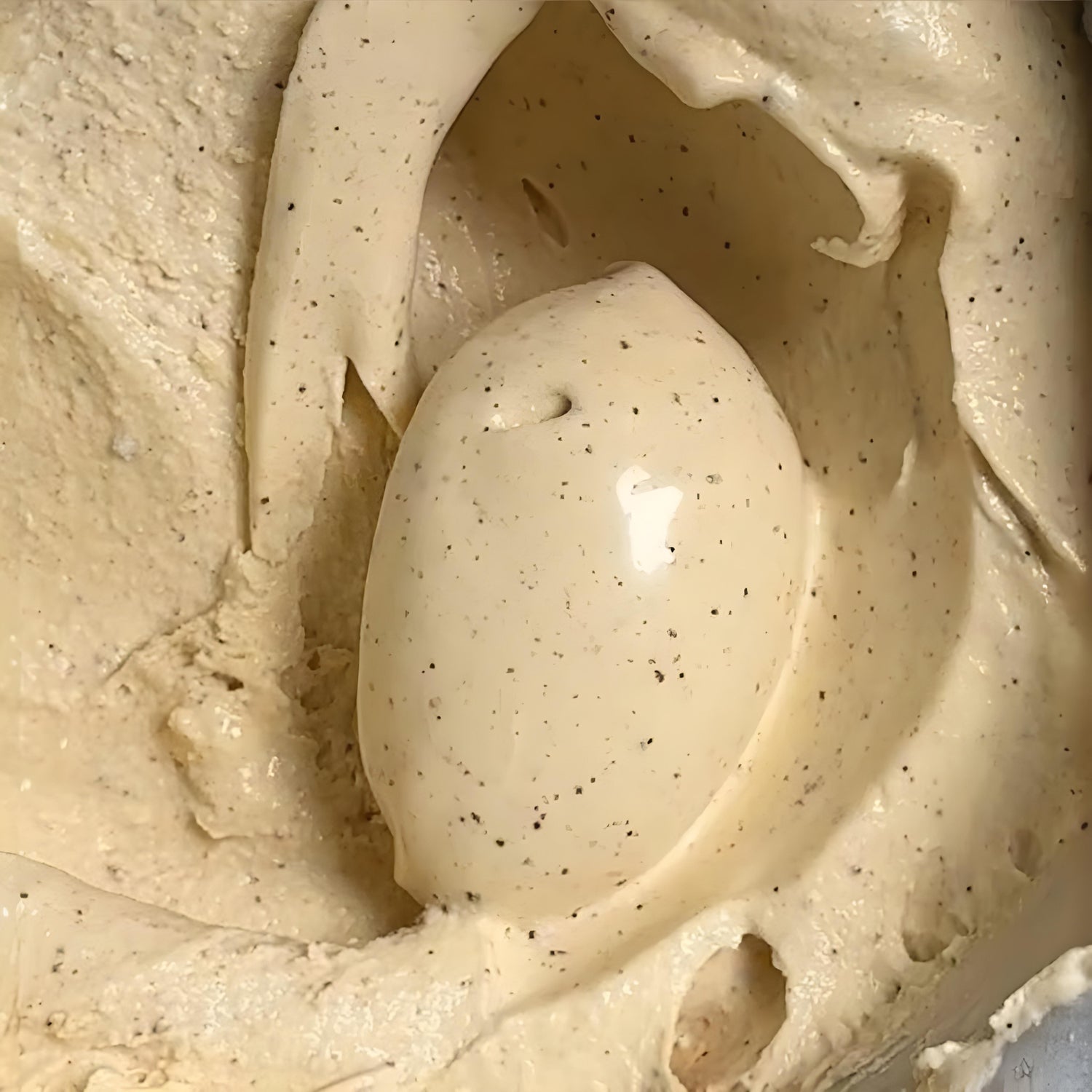 Madagascar Vanilla Gelato